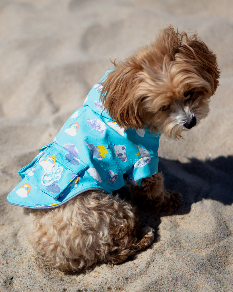 Clouds and Rainbow Torrential Tracker Raincoat (FINAL SALE) Wear CANADA POOCH   