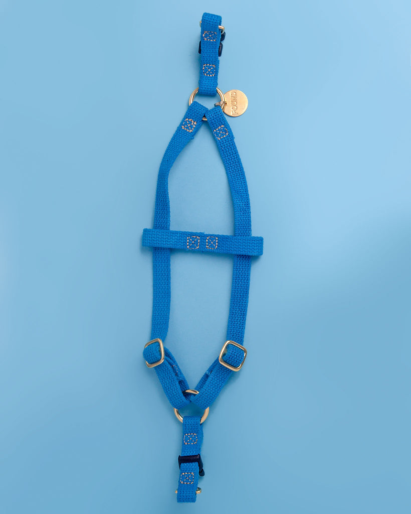 Cotton Webbing Dog Harness in Teal << FINAL SALE >> WALK FOUND MY ANIMAL   