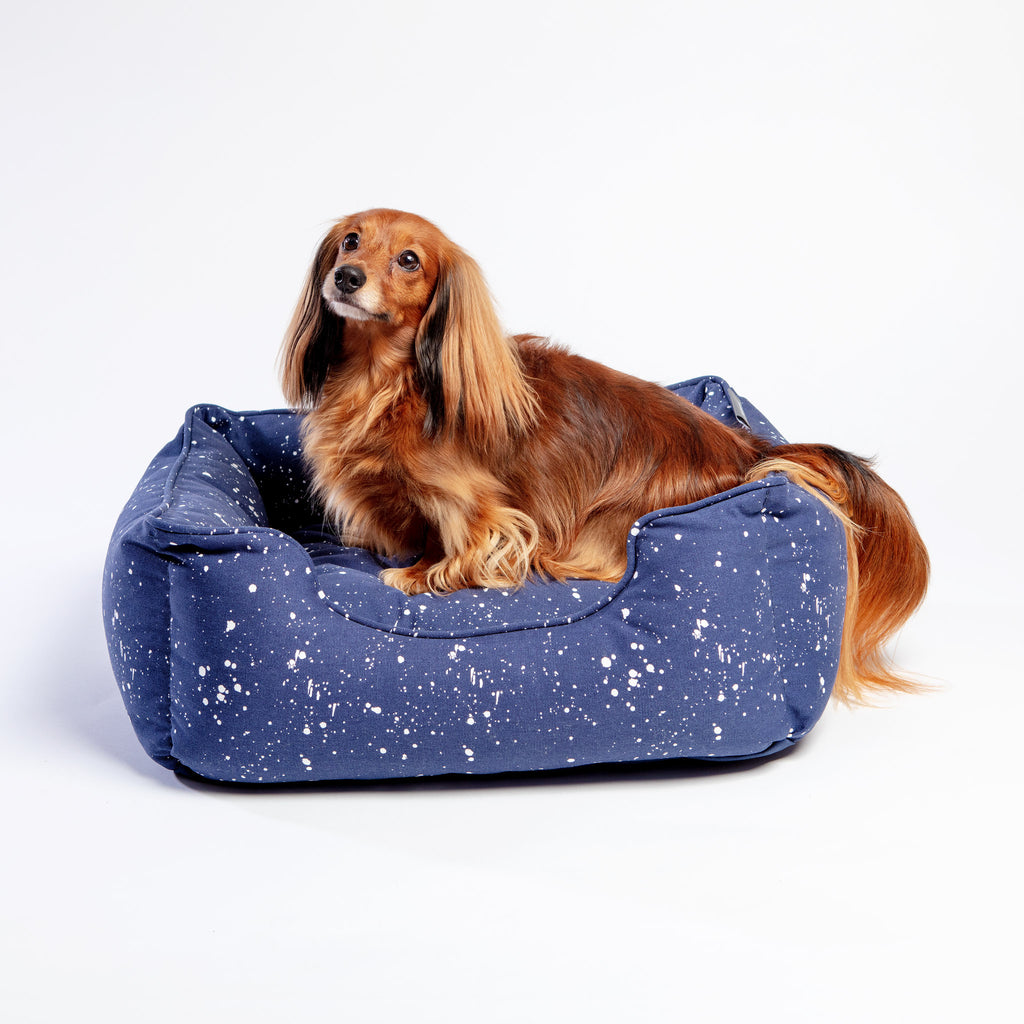 Orthopedic Pet Bed in Speckle Splatter HOME FRINGE STUDIO   