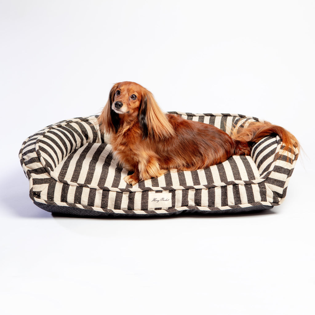 Ortho-Lounger Dog Bed (Direct-Ship) HOME HARRY BARKER   