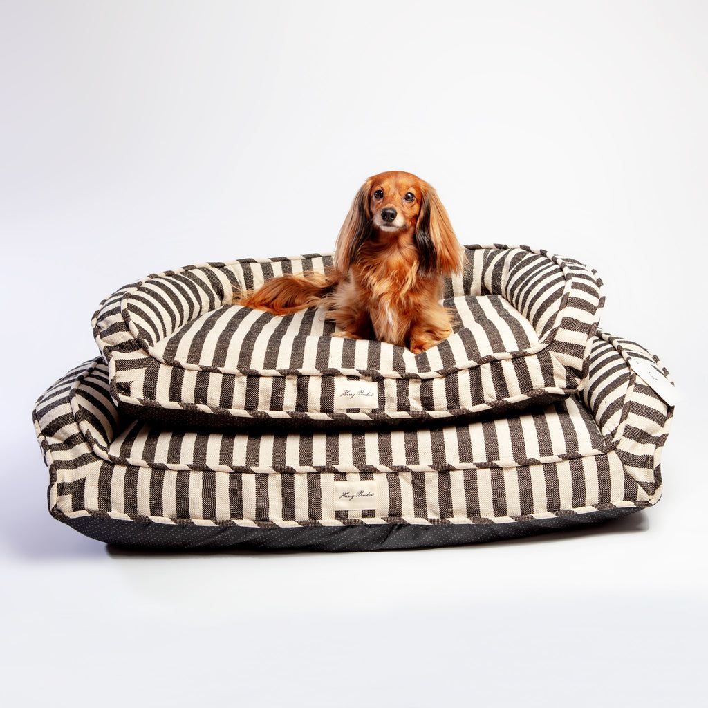 Ortho-Lounger Dog Bed (Direct-Ship) HOME HARRY BARKER   