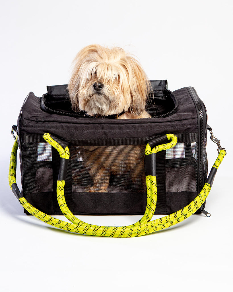 Out-Of-Office Dog Carrier in Black with Neon Yellow Straps Carry ROVERLUND   