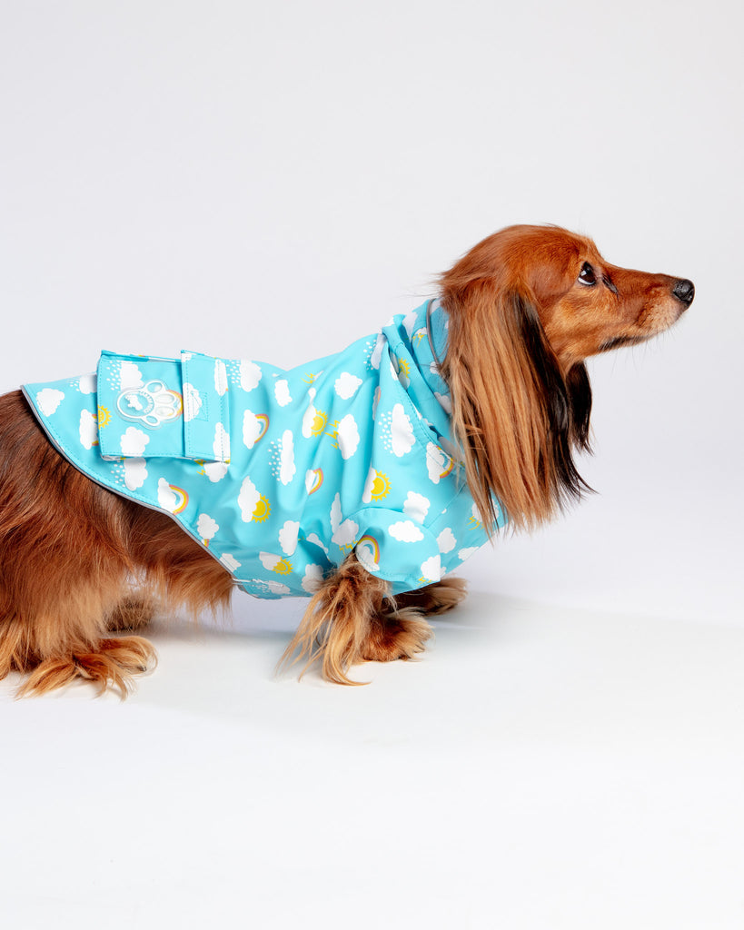 Clouds and Rainbow Torrential Tracker Raincoat (FINAL SALE) Wear CANADA POOCH   