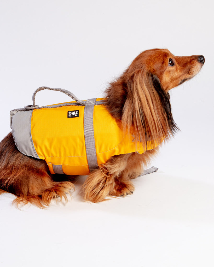 Life Savior Dog Life Jacket in Golden Yellow Wear HURTTA   