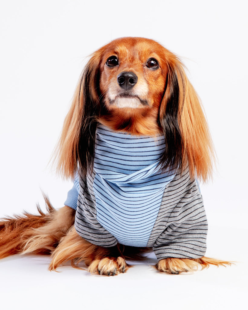LONG DOG CLOTHING, The Marlin Organic Cotton T-Shirt for Long Dogs (Made  in the USA)