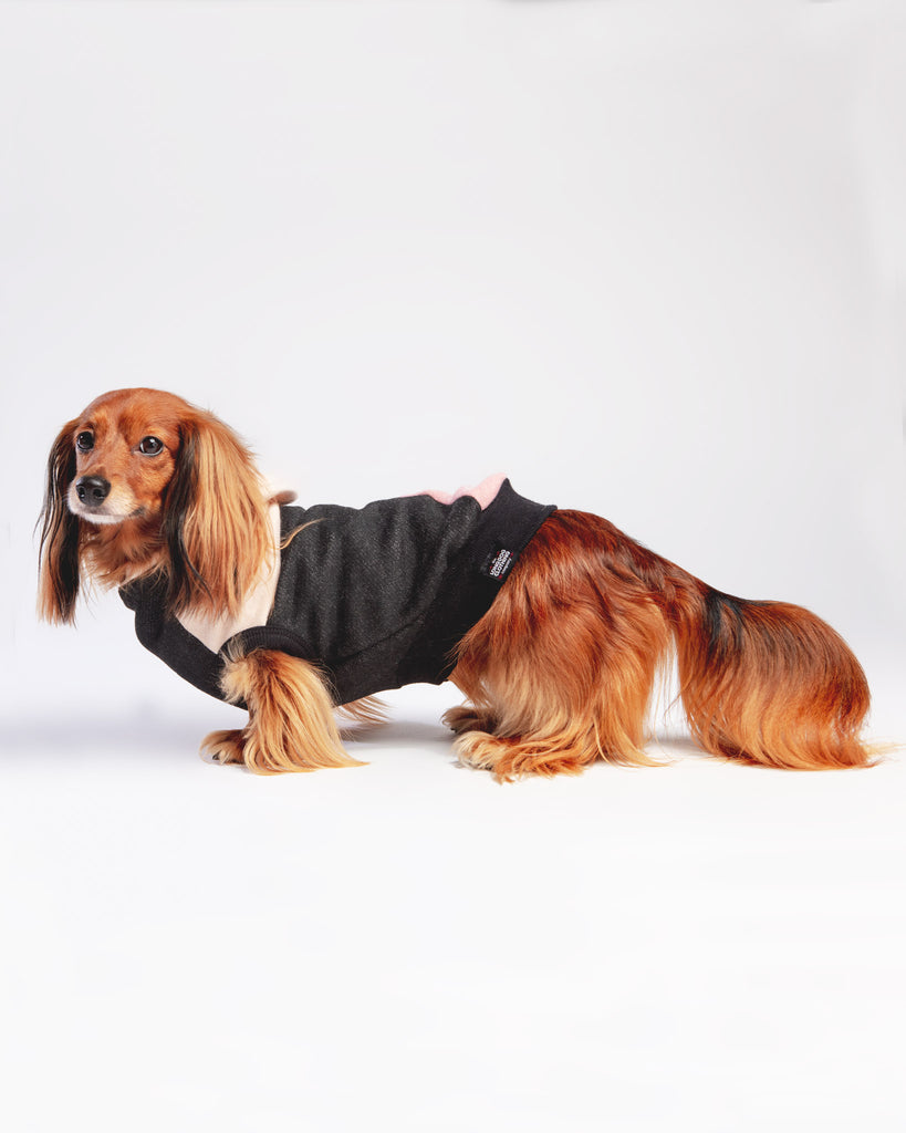 The Boombayah Cotton Hoodie for Long Dogs (Made in the USA) << FINAL SALE >> Wear LONG DOG CLOTHING   
