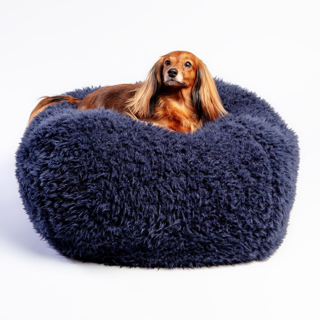 Unique Dog Pet Beds  Olive Smith - Floral Doddle lV - DiaNoche Designs