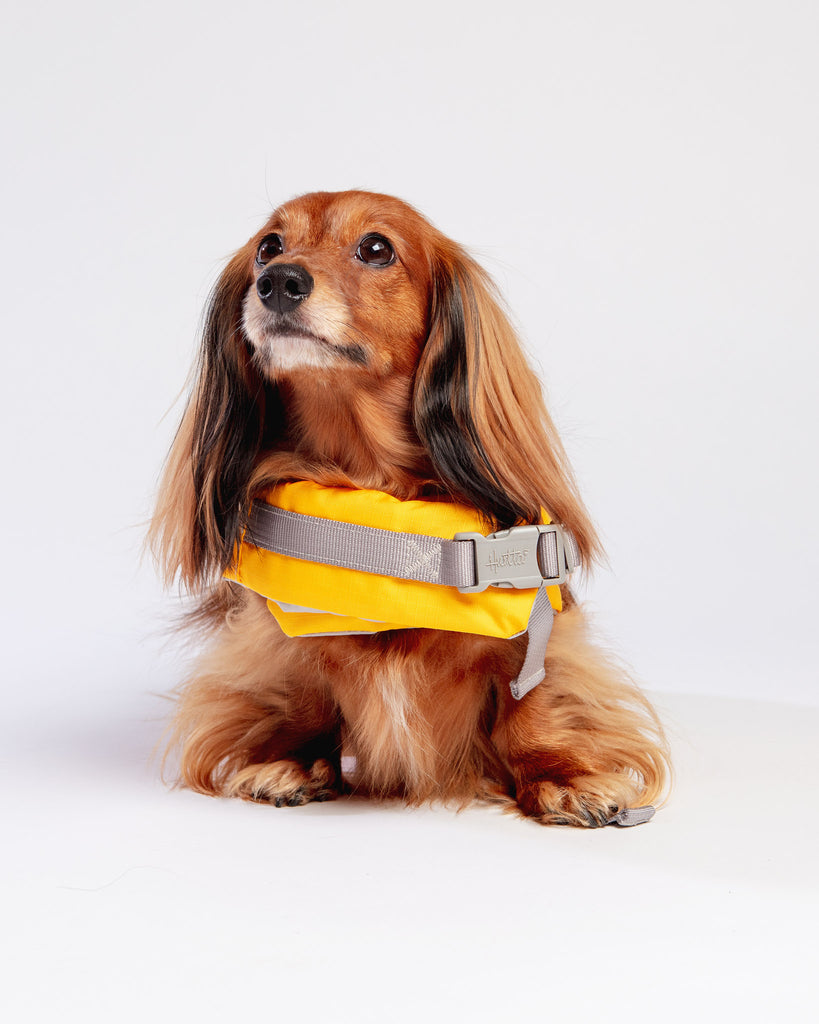 Life Savior Dog Life Jacket in Golden Yellow (FINAL SALE) Wear HURTTA   