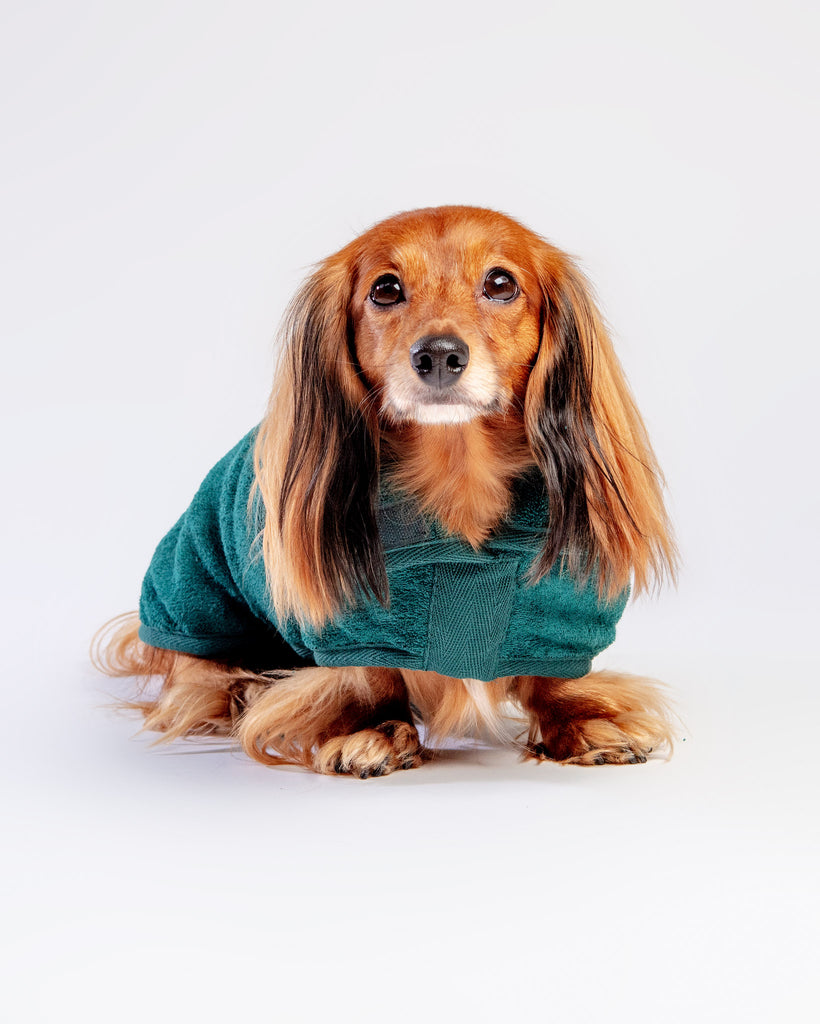 Dog Drying Coat in Bottle Green (Made in the UK) (CLEARANCE) HOME RUFF AND TUMBLE   