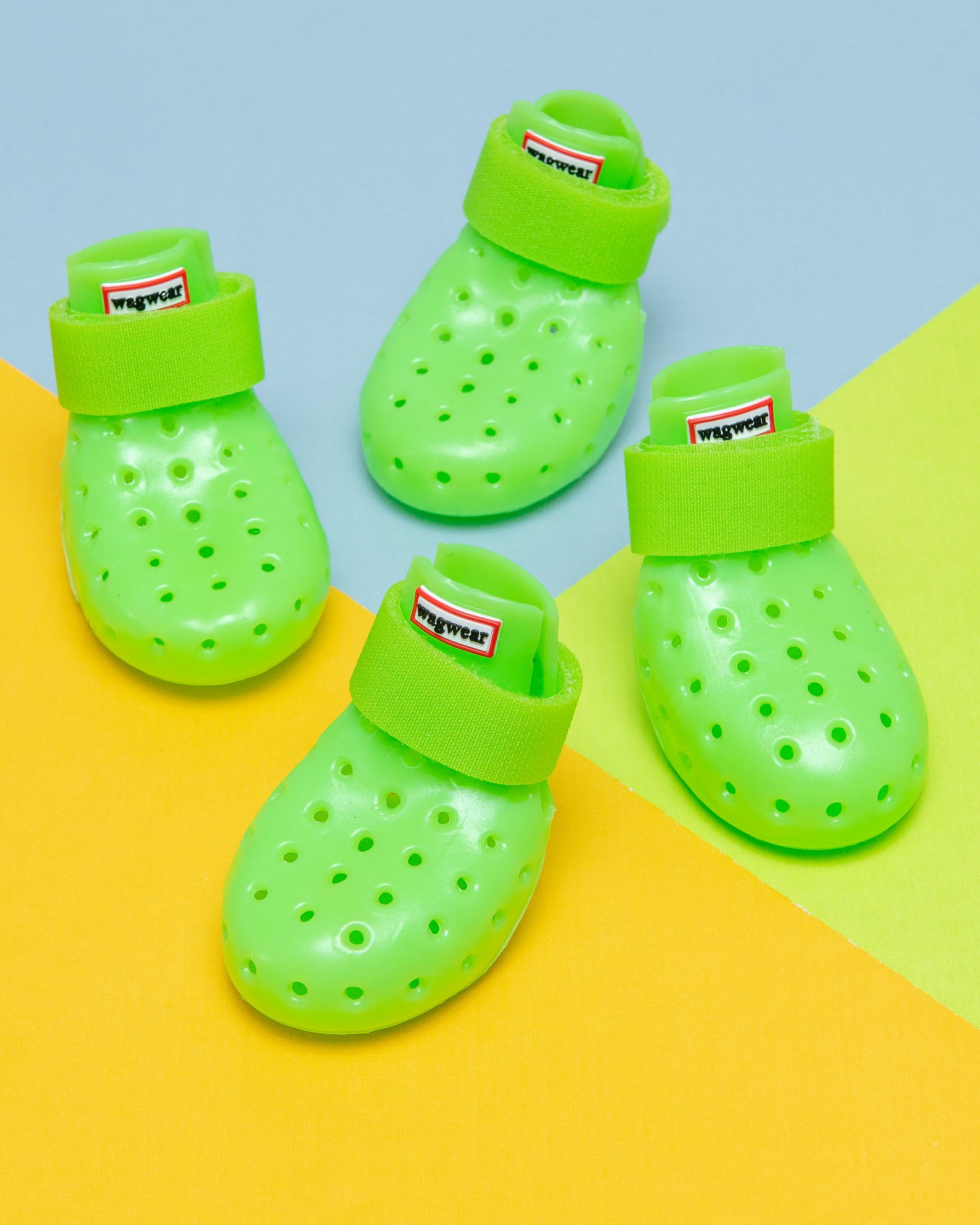 Dog_CO_wagwear_1C5A8892_1638x.