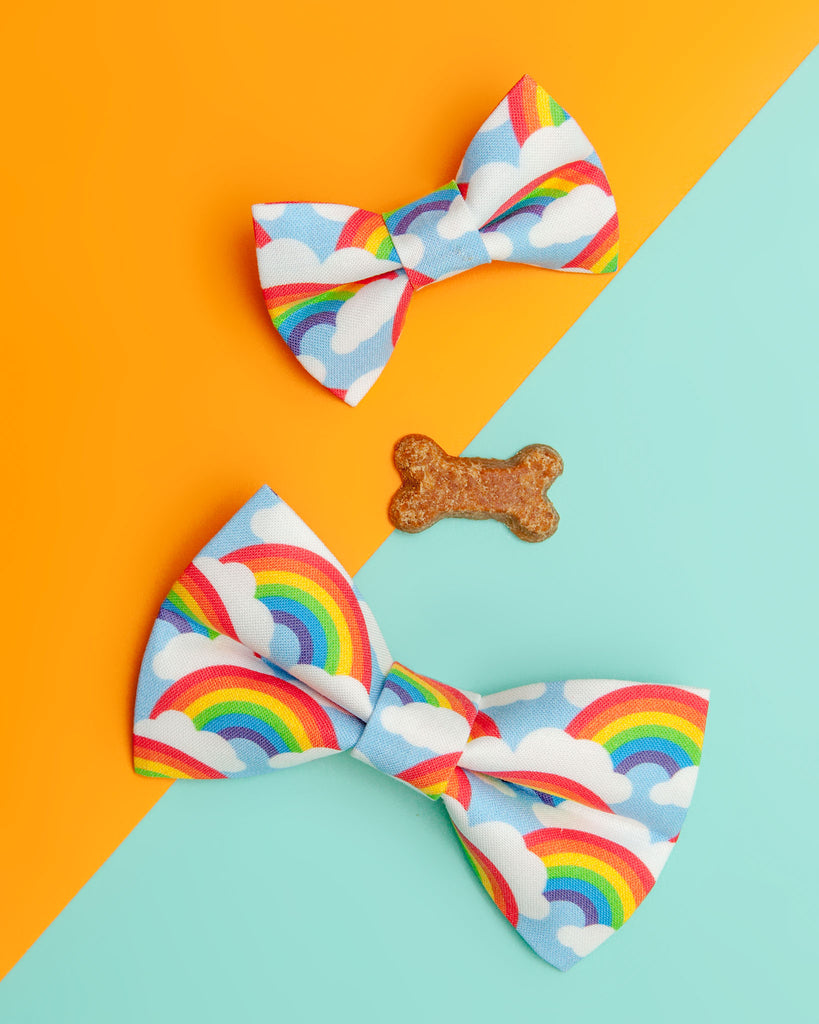 The Bright Side Rainbow Bow Tie Wear SWEET PICKLES DESIGNS   