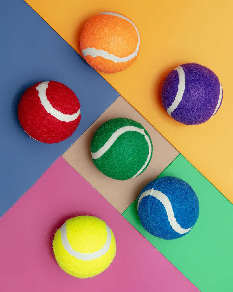 Puppy Pride Tennis Balls - (Set of 6) Play ZANIES   