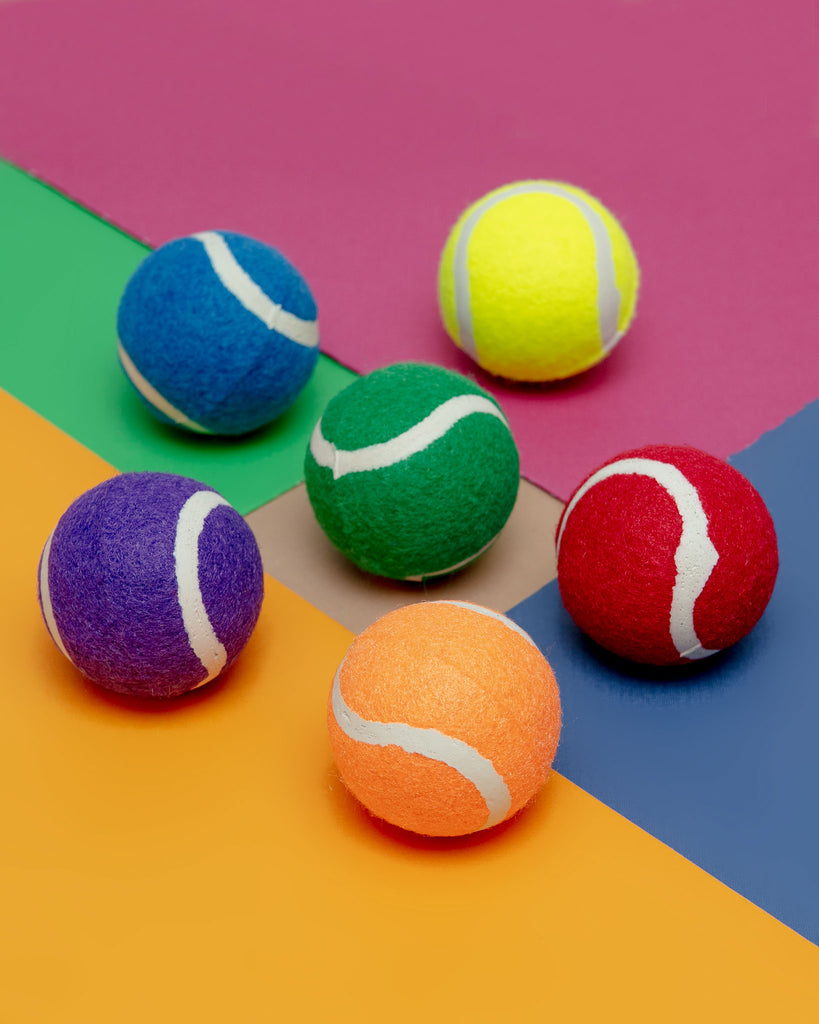 Puppy Pride Tennis Balls - (Set of 6) Play ZANIES   