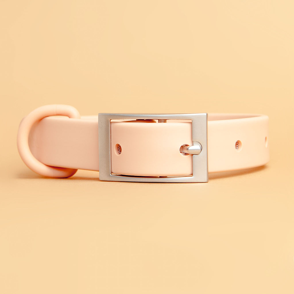 Modern Dog Collar in Blush << CLEARANCE >> WALK Wild One   