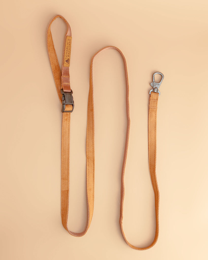 Adjustable Easy Dog Leash in Tan Walk CHARLIE'S BACKYARD   