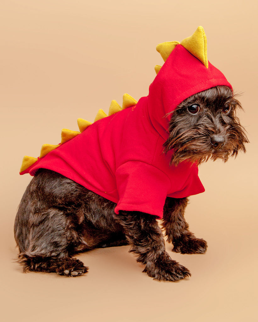 Doggie Dragon Sweatshirt Wear DOGO   