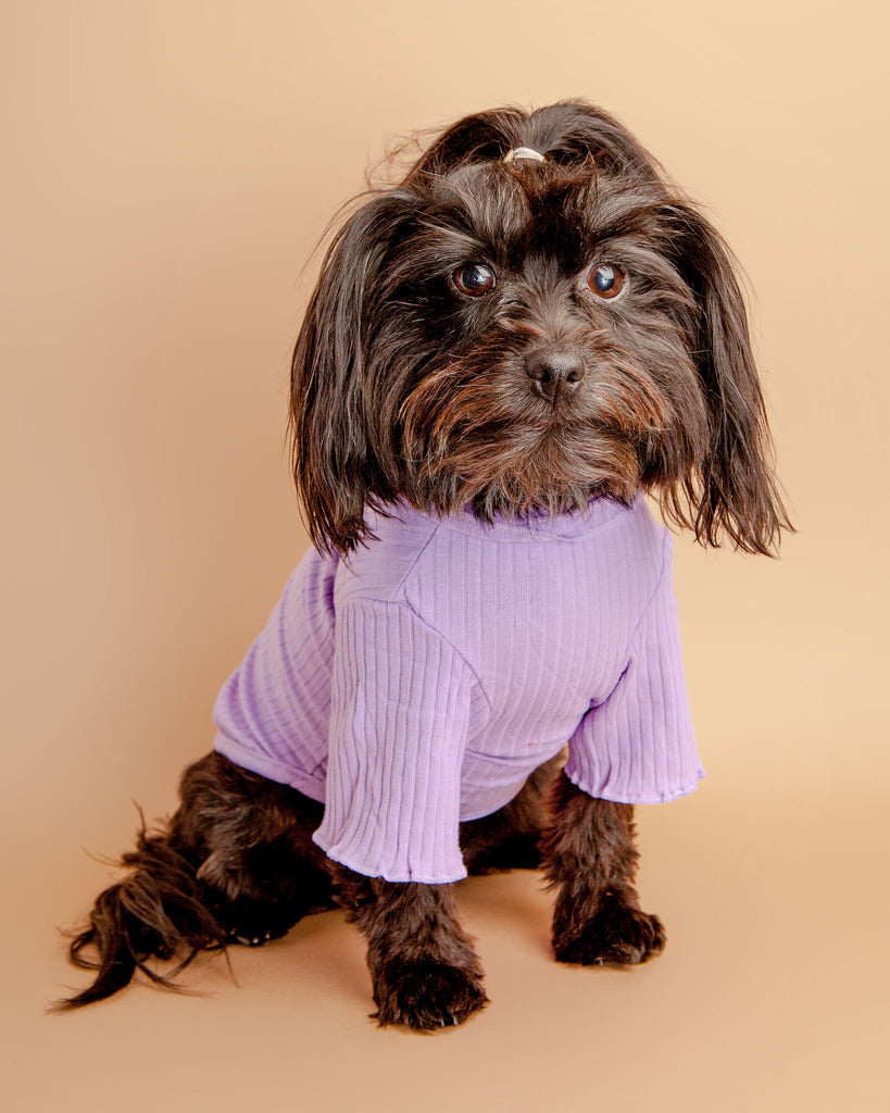 Ruffle Cuff Ribbed Dog Turtleneck in Lilac Wear BARKWELL   