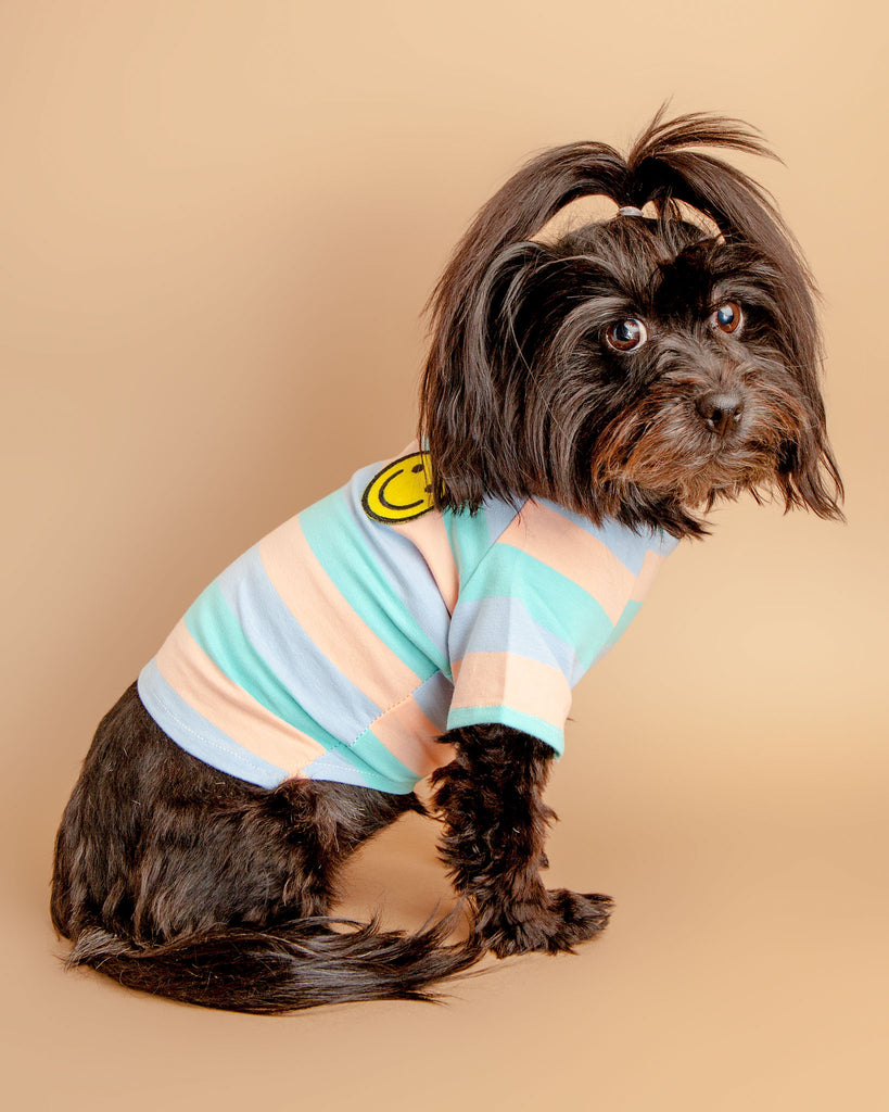 Smiley Stripe Dog T-Shirt Wear BARKWELL   