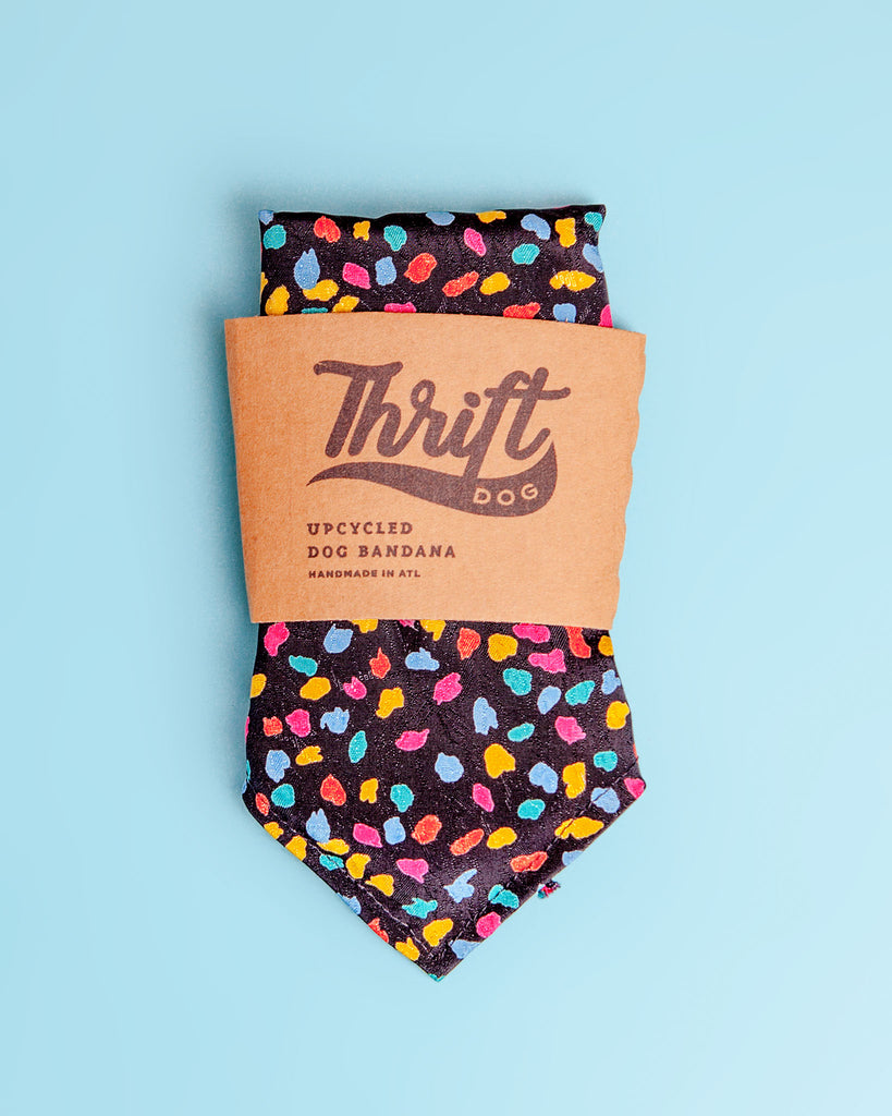 Matching Face Mask & Dog Bandana Set in Confetti Wear THRIFT DOG   