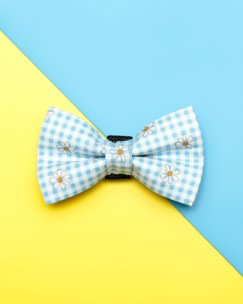 Dog Bow Tie in Blue Daisy (FINAL SALE) Wear WINTHROP CLOTHING CO.   