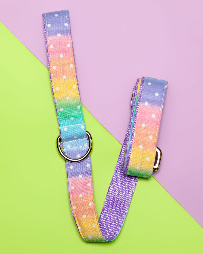 Pastel Rainbow Ombre Dot Print Dog Leash (FINAL SALE) WALK DAPPER DEXTER   