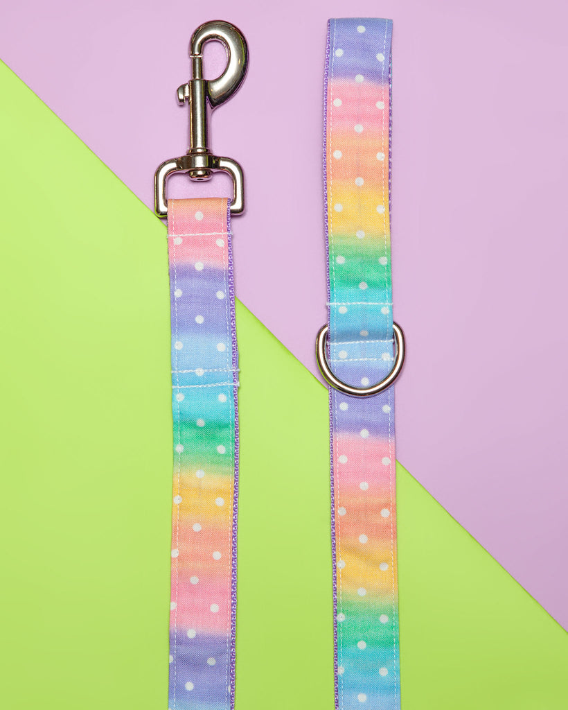Pastel Rainbow Ombre Dot Print Dog Leash (FINAL SALE) WALK DAPPER DEXTER   