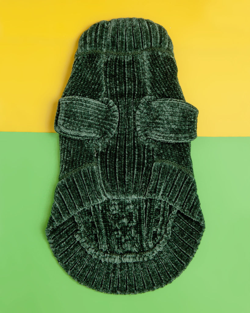 Cozy Chenille Dog Sweater in Forest Green << CLEARANCE >> Wear DOGS & CATS & CO.   