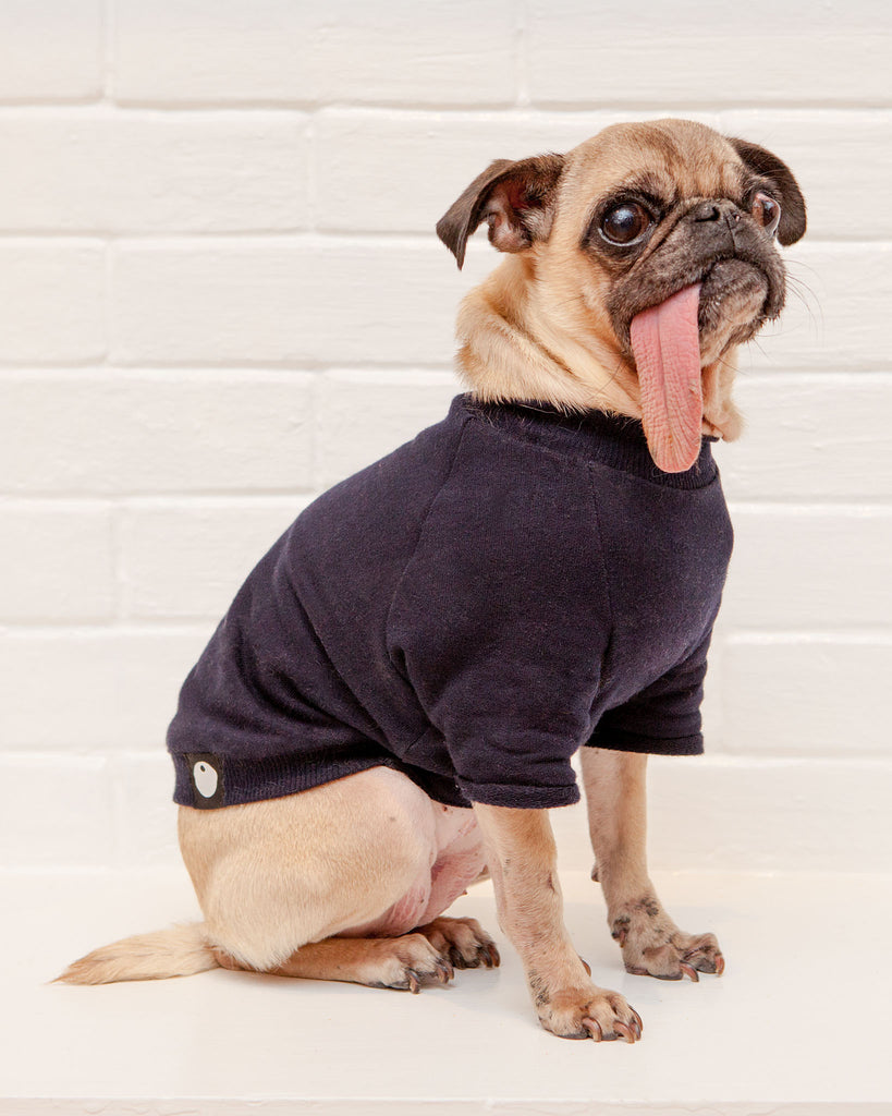 Cut-Sleeve Crewneck Pullover in New Navy<br>(Made in NYC!) Wear DOG & CO. COLLECTION   