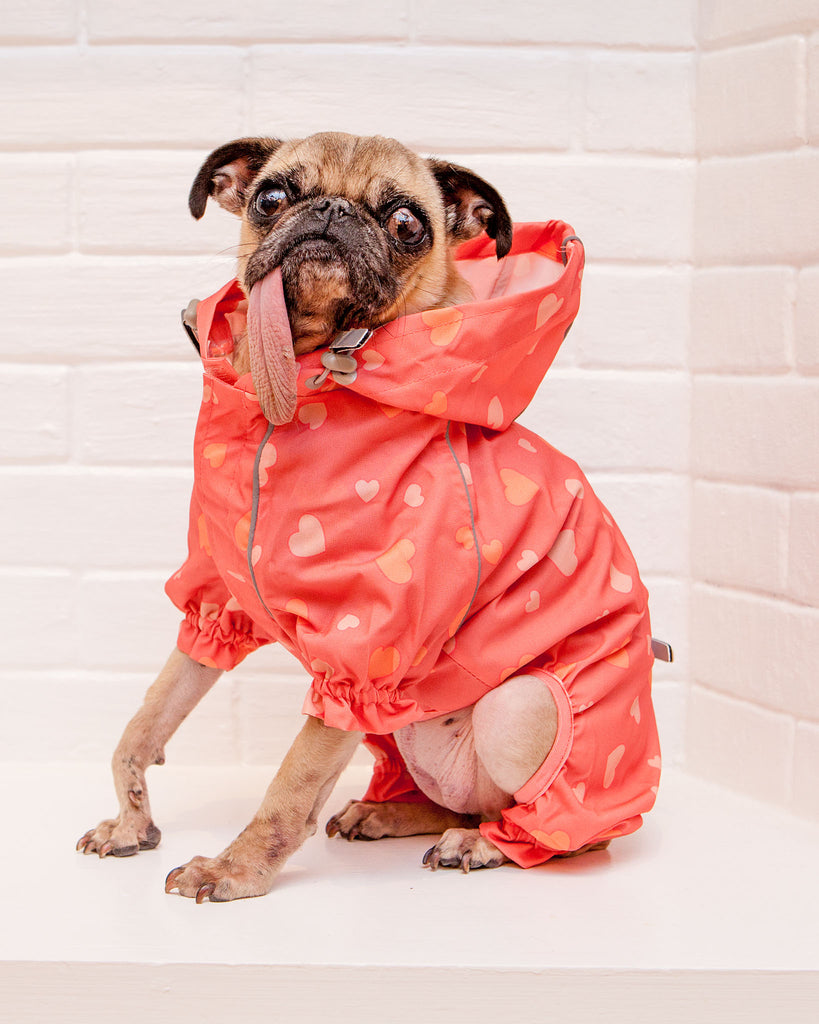 Reflective Dog Rainsuit in Pink Hearts << FINAL SALE >> Wear DOGS & CATS & CO.   