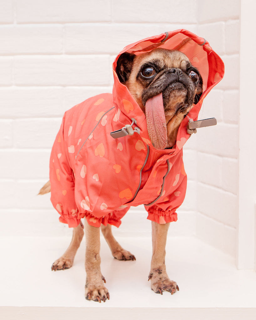 Reflective Dog Rainsuit in Pink Hearts << FINAL SALE >> Wear DOGS & CATS & CO.   