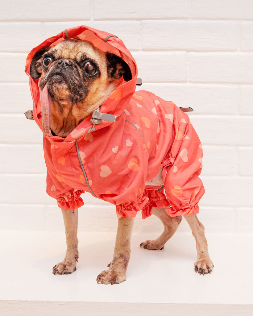 Reflective Dog Rainsuit in Pink Hearts << FINAL SALE >> Wear DOGS & CATS & CO.   