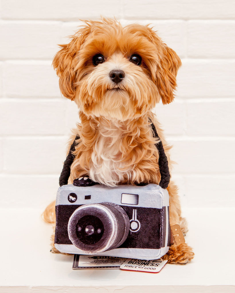 Lens Licker Camera Dog Toy Play P.L.A.Y.   