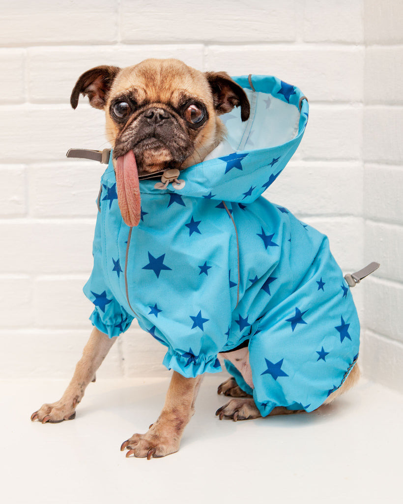 Reflective Dog Rainsuit in Blue Stars << FINAL SALE >> Wear DOGS & CATS & CO.   