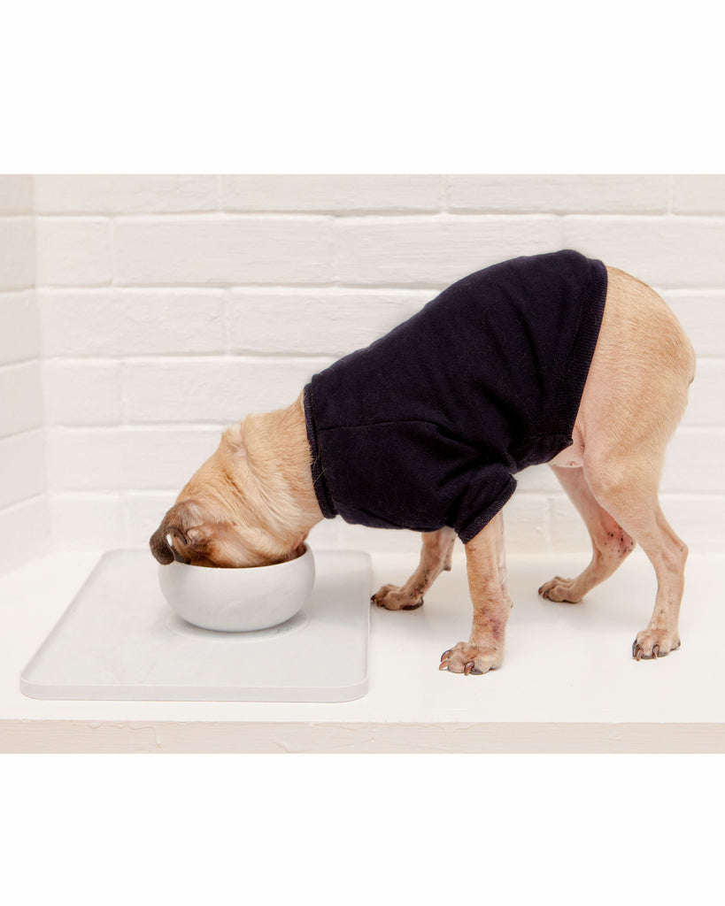 Wood Silicone Suction Dog Food & Water Bowl Eat BELLA TUNNO   