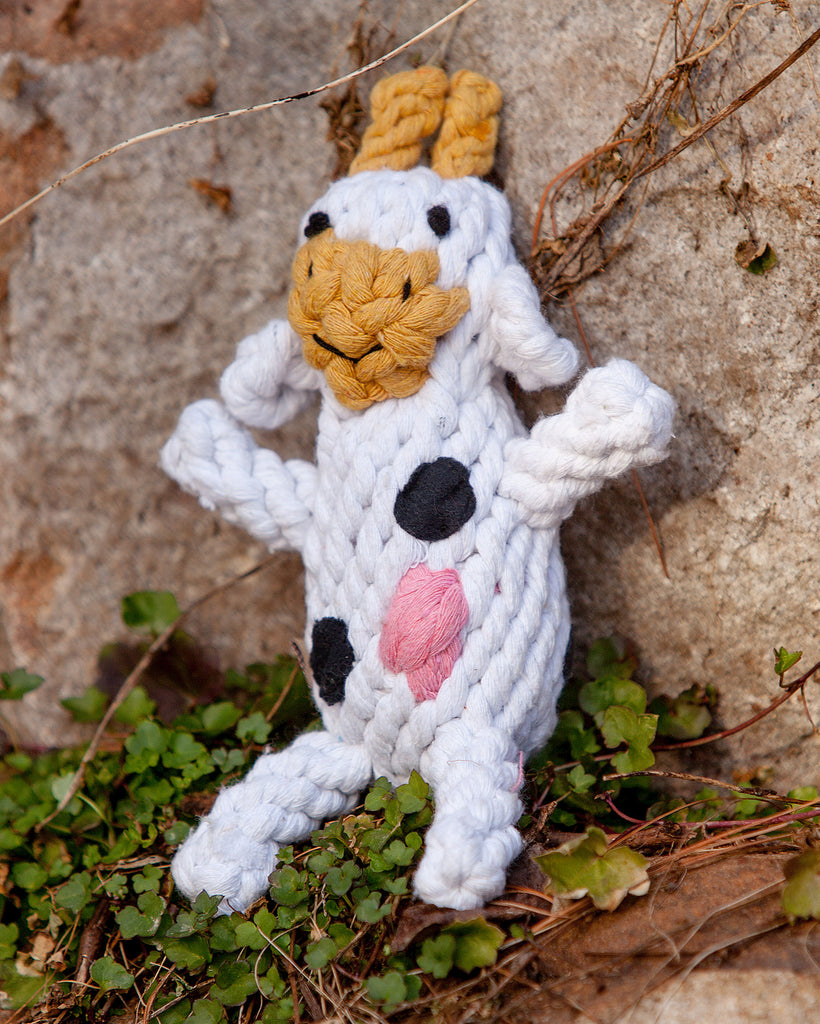 Claire the Cow Rope Dog Toy Play JAX & BONES   