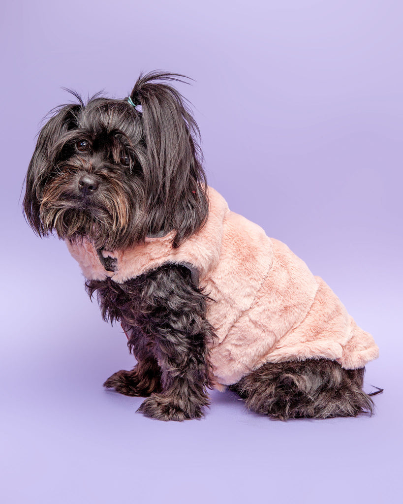 Faux Fur Coat in Blush Wear THE WORTHY DOG   