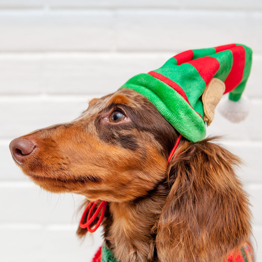 Lil' Helper Elf Hat for Dogs Wear Huxley & Kent   