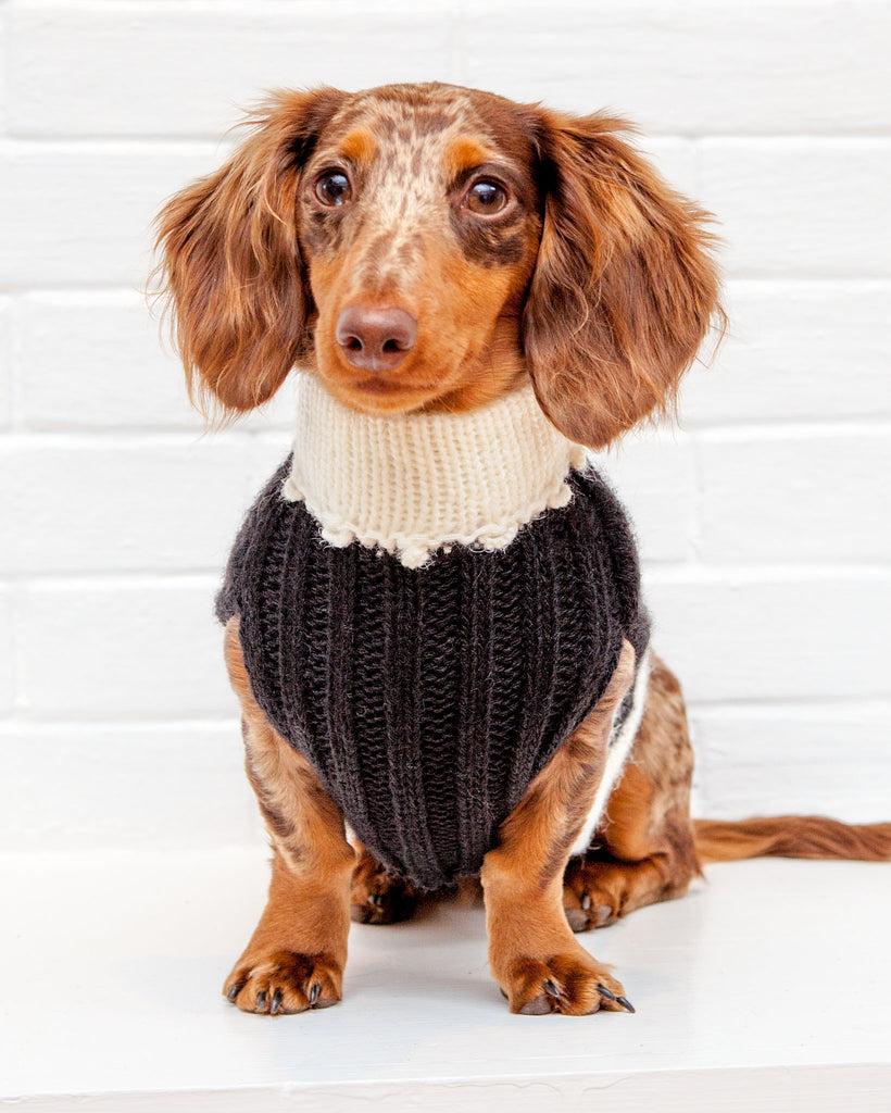 Perfect Present Handknit Dog Sweater (FINAL SALE) Wear PERUVIAN KNITS   