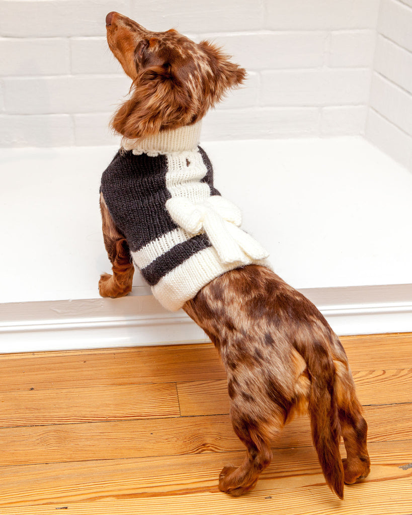 Perfect Present Handknit Dog Sweater (FINAL SALE) Wear PERUVIAN KNITS   