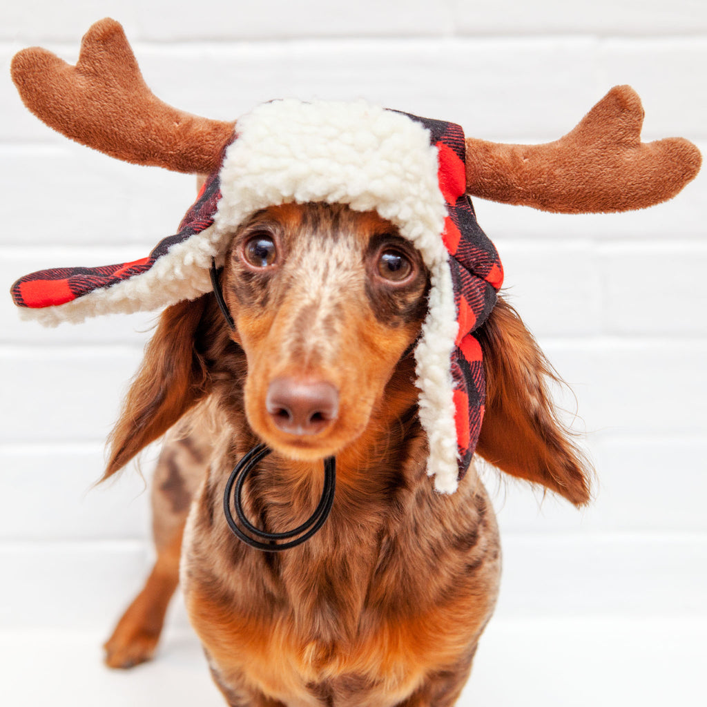 Buffalo Check and Antler Winter Dog Hat Wear Lulubelles   