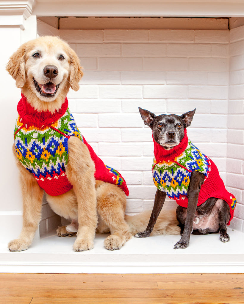 Festive Fairisle Dog Sweater << CLEARANCE >> Wear CHILLY DOG   