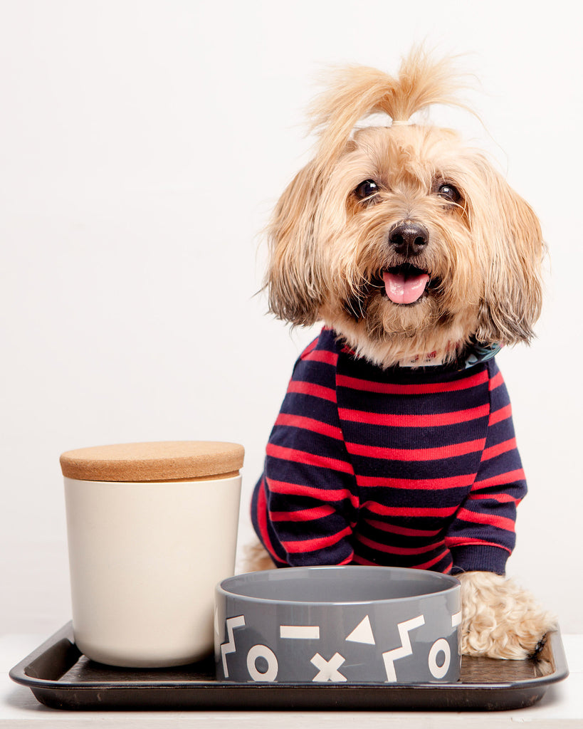 DOG & CO. | Cheeky Stripe Pullover in Navy & Red Small Stripe Apparel DOG & CO. COLLECTION   