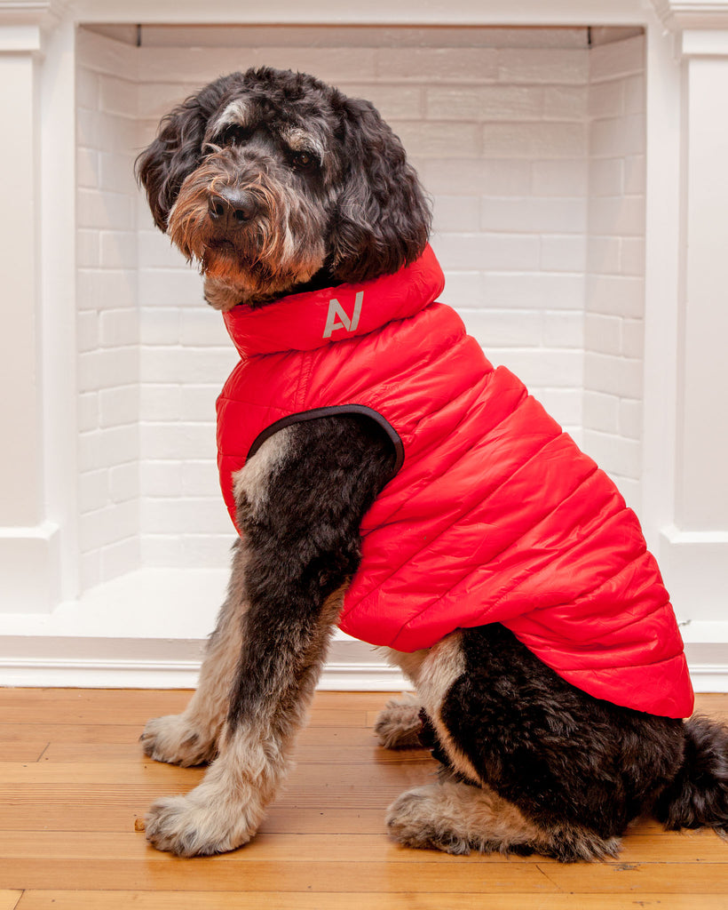 Reversible Puffer AiryVest in Red and Black << CLEARANCE >> Wear COLLAR BRAND   