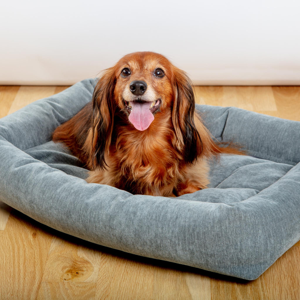 Tango Dog Bed in Mineral Grey (Made in Canada) HOME BOWSER'S PET PRODUCTS   