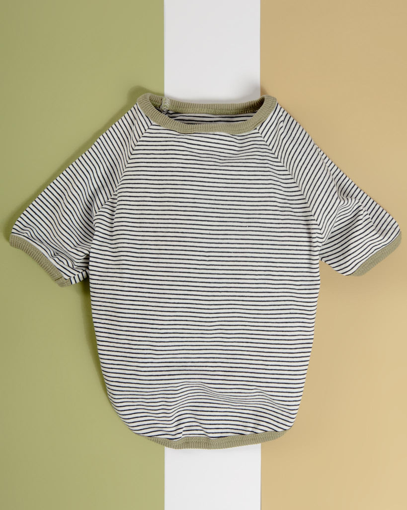 Rib Dog T-Shirt in White & Sage Stripe (CLEARANCE) Wear MILLTOWN BRAND   