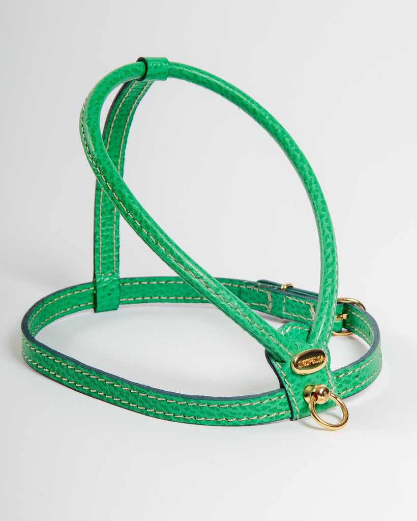 Italian Leather Dog Harness in Green WALK LA CINOPELCA   