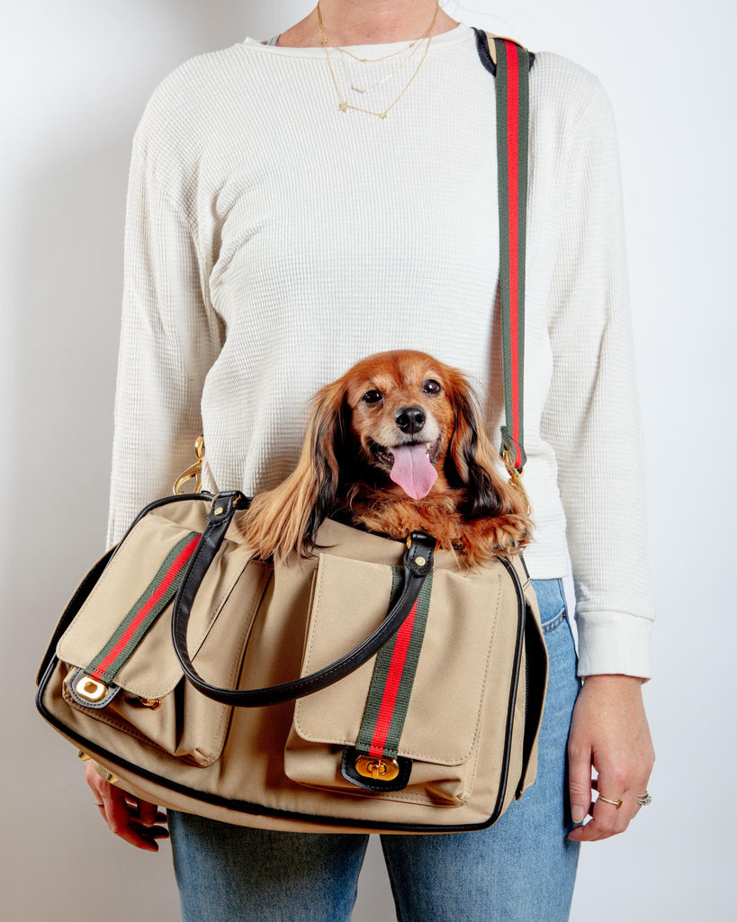 Gucci, Bags, Gucci Dog Carrier