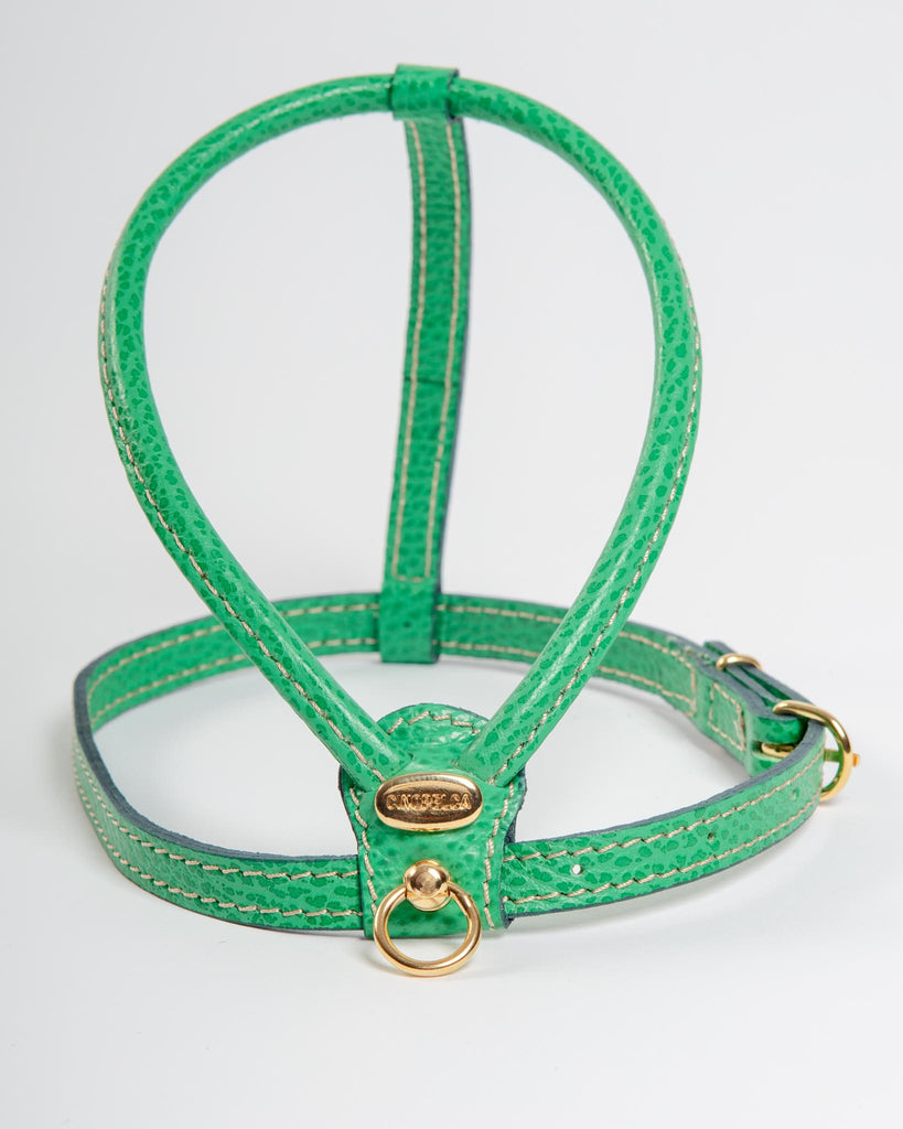 Italian Leather Dog Harness in Green WALK LA CINOPELCA   