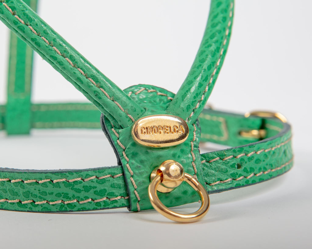 Italian Leather Dog Harness in Green WALK LA CINOPELCA   