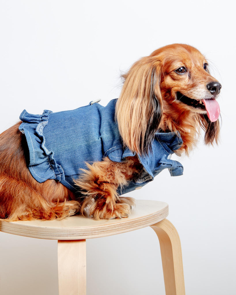 Darling Denim Ruffle Harness Top (CLEARANCE) Dog Apparel BARKWELL   